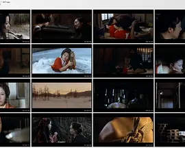 美人乱舞封面图