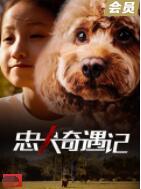 忠犬奇遇记封面图