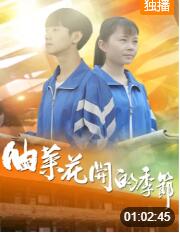 油菜花开的季节封面图