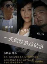 一天到晚游泳的鱼封面图