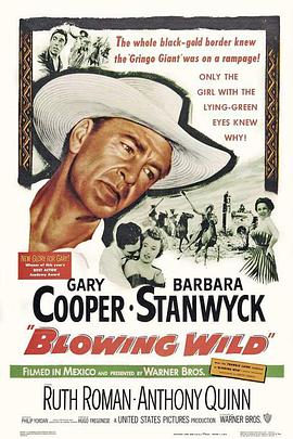 狂风飞絮封面图