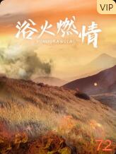 浴火燃情封面图