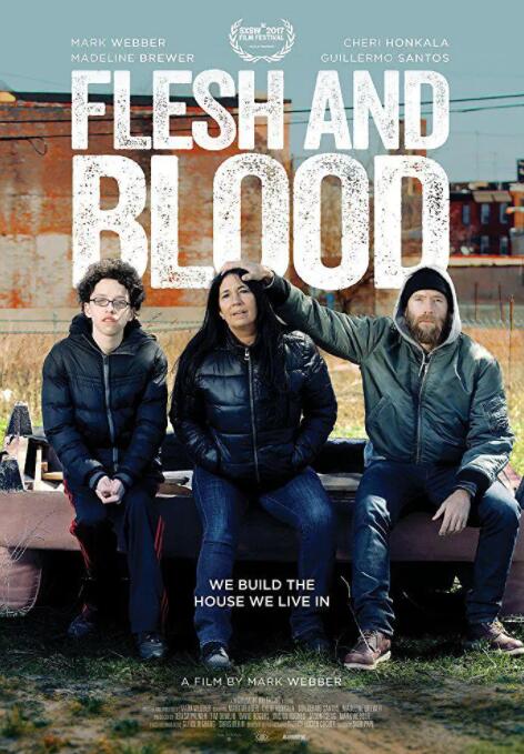 血脉相连封面图