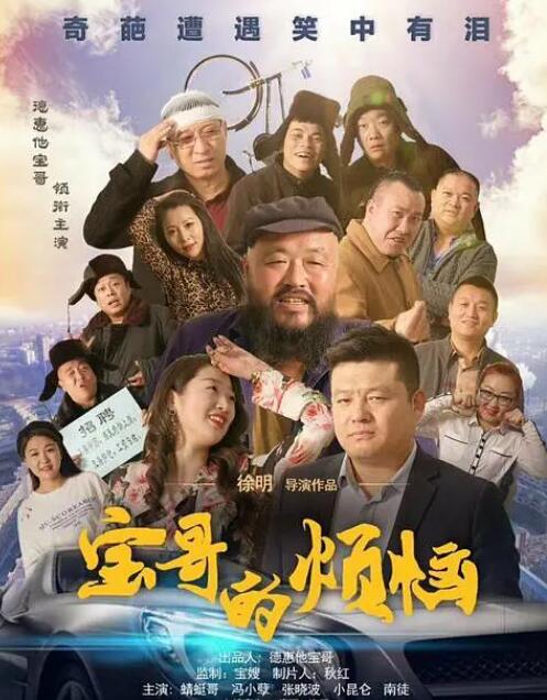 宝哥的烦恼封面图