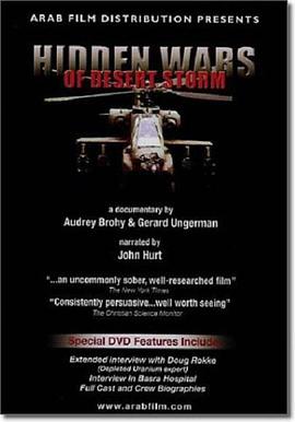 沙漠风暴封面图