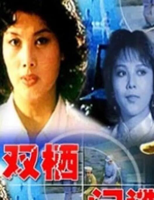 双栖间谍封面图