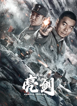 亮剑之英雄虎胆封面图