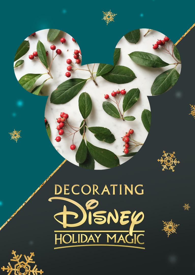 奇妙迪士尼：魔法圣诞封面图