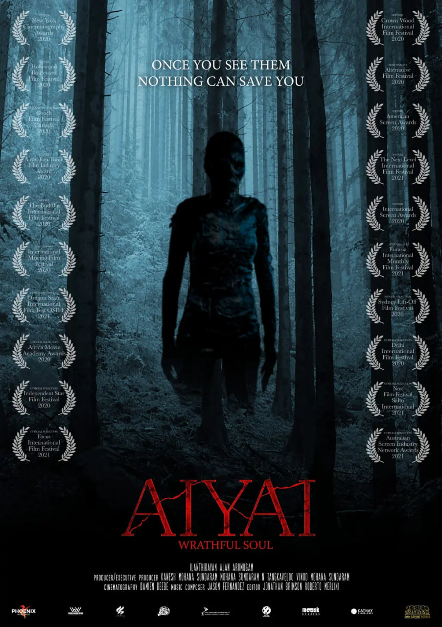 愤恨的灵魂封面图