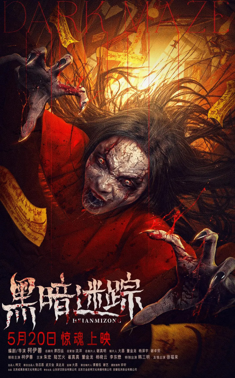 黑暗迷踪封面图