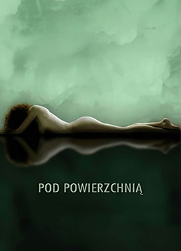 静水之表封面图