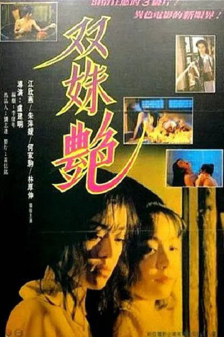 双姝艳封面图
