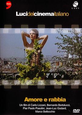 爱情与愤怒封面图