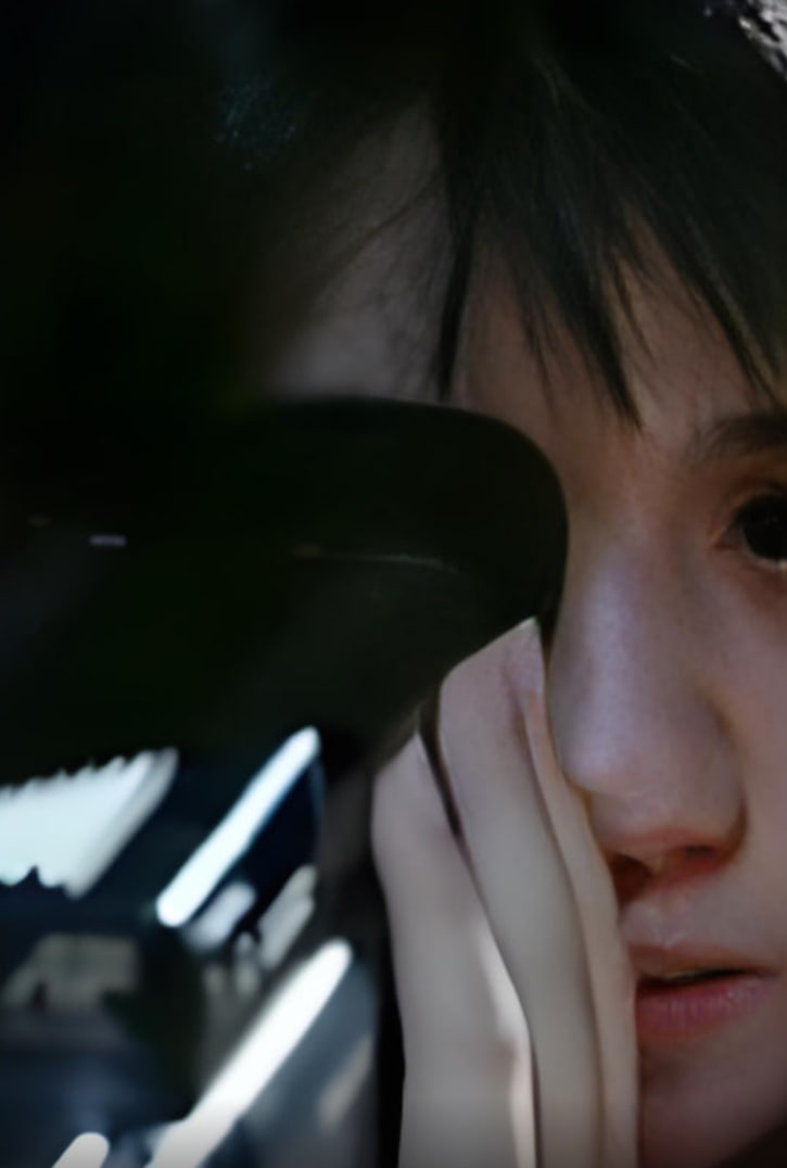 爱的痴迷封面图