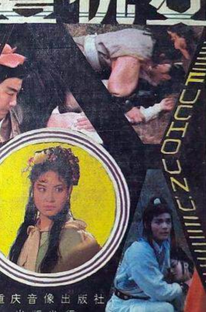 复仇女 1998封面图