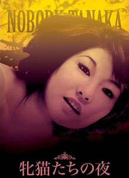 性感野猫之夜封面图