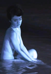 佐罗风流历险记封面图