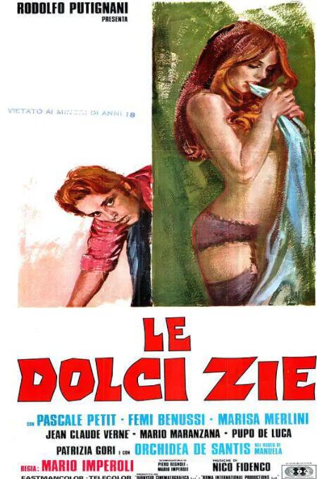 三个姑妈一个侄封面图