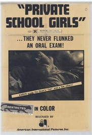 早熟女孩的危险性游戏封面图