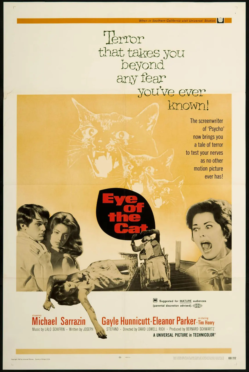 猫儿擒凶记封面图