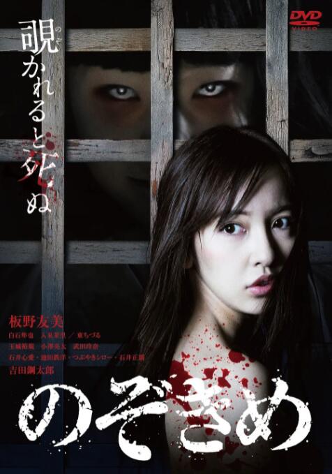 窥视之眸封面图