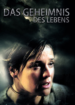 生命密码封面图