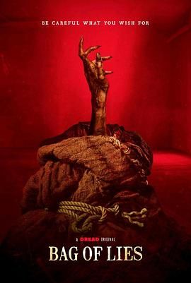 魔袋谎言封面图