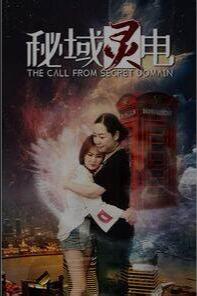 秘域灵电封面图