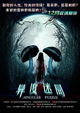 异度迷局封面图