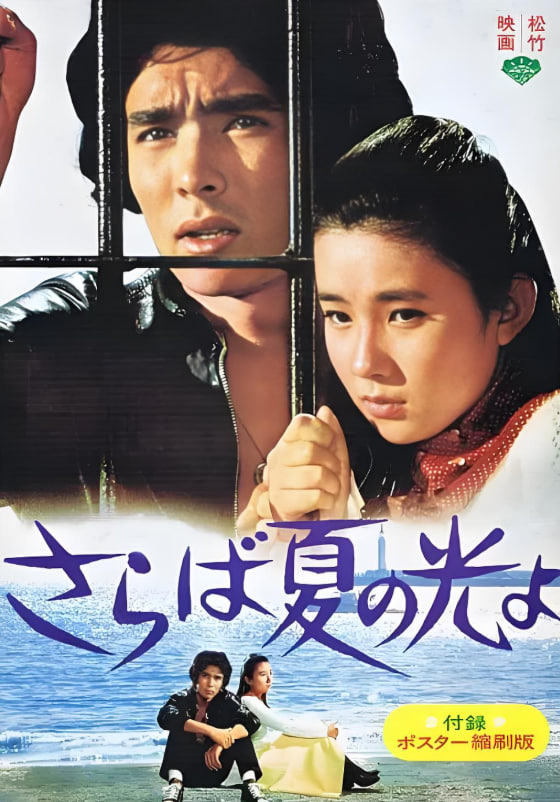 再见，夏日之光封面图