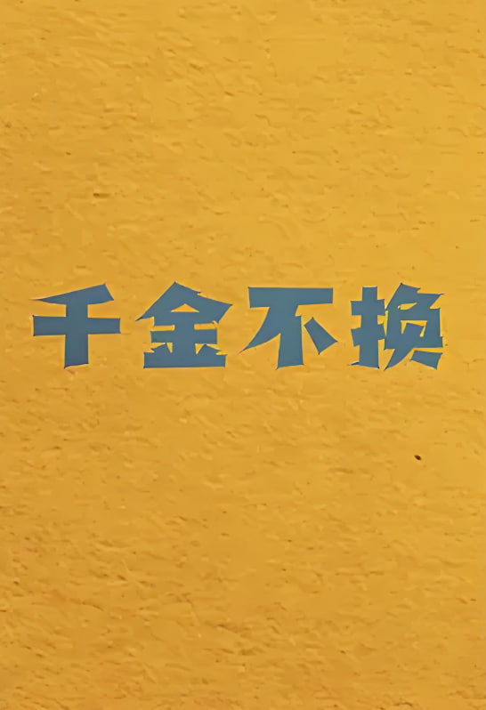 千金不换封面图