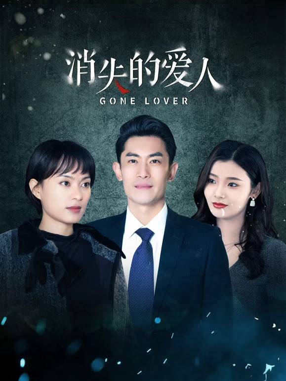 消失的爱人封面图