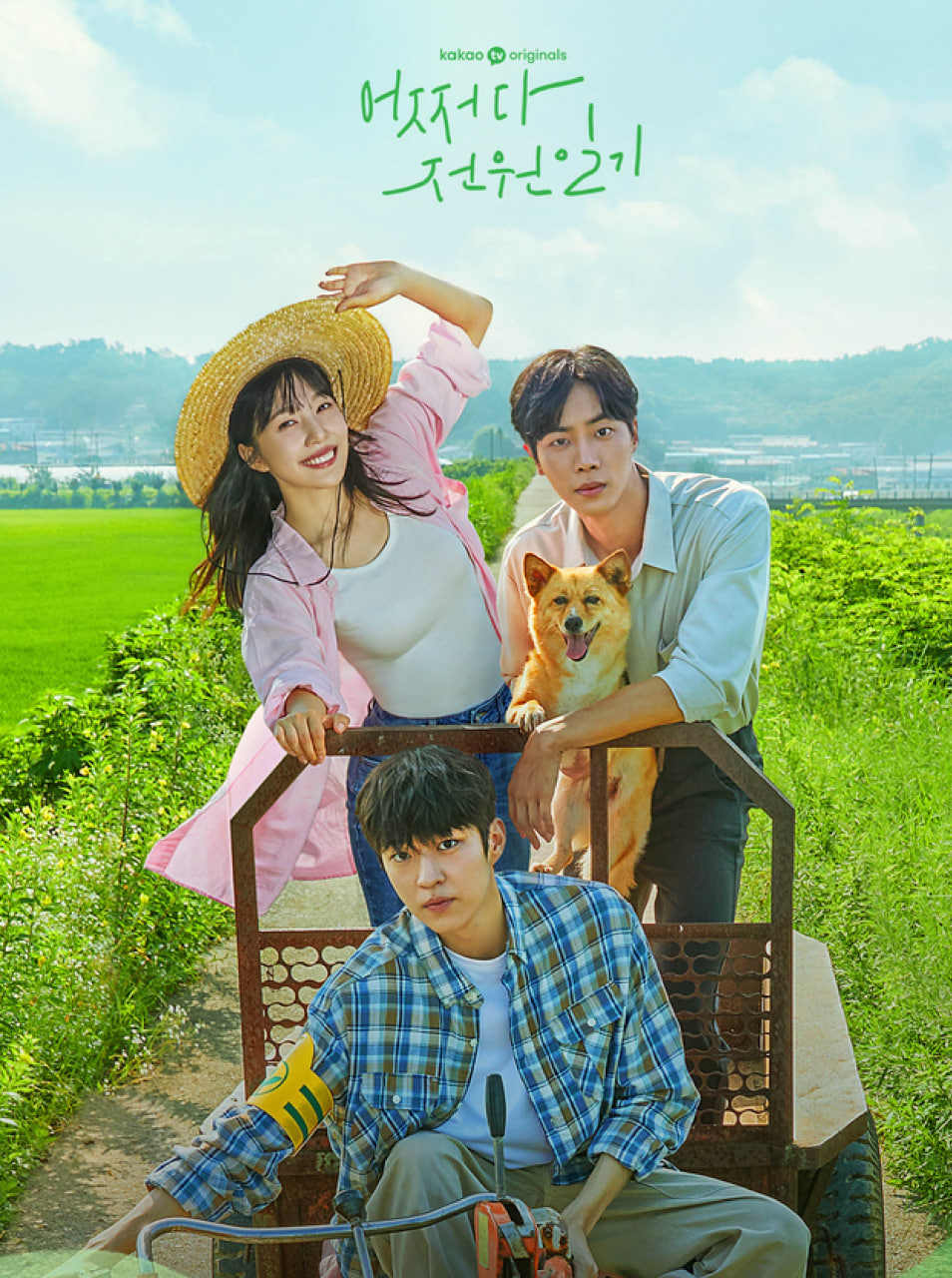 偶然的田园日记封面图