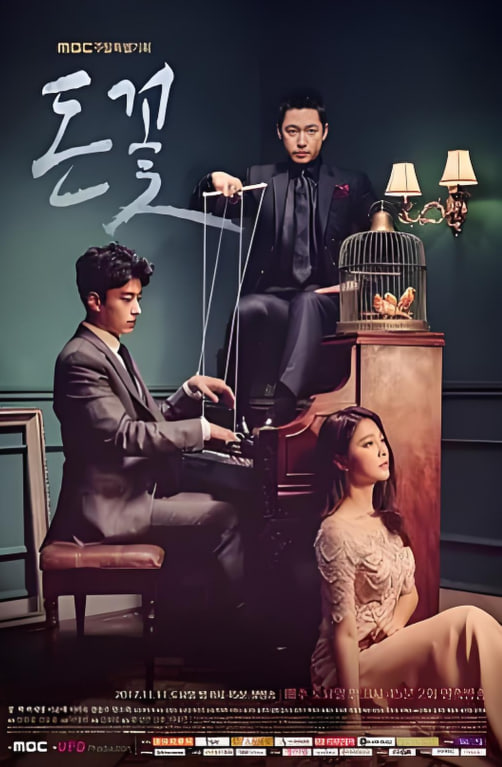 金钱之花封面图