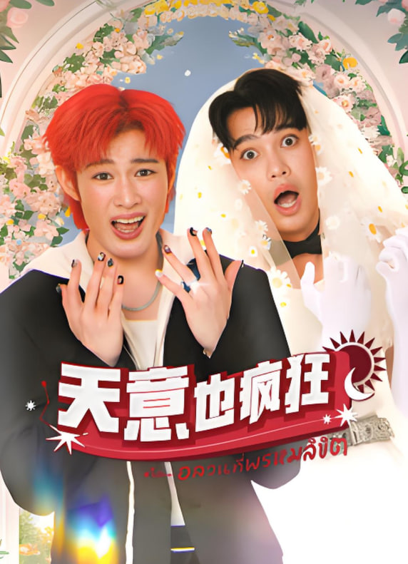 天意也疯狂封面图