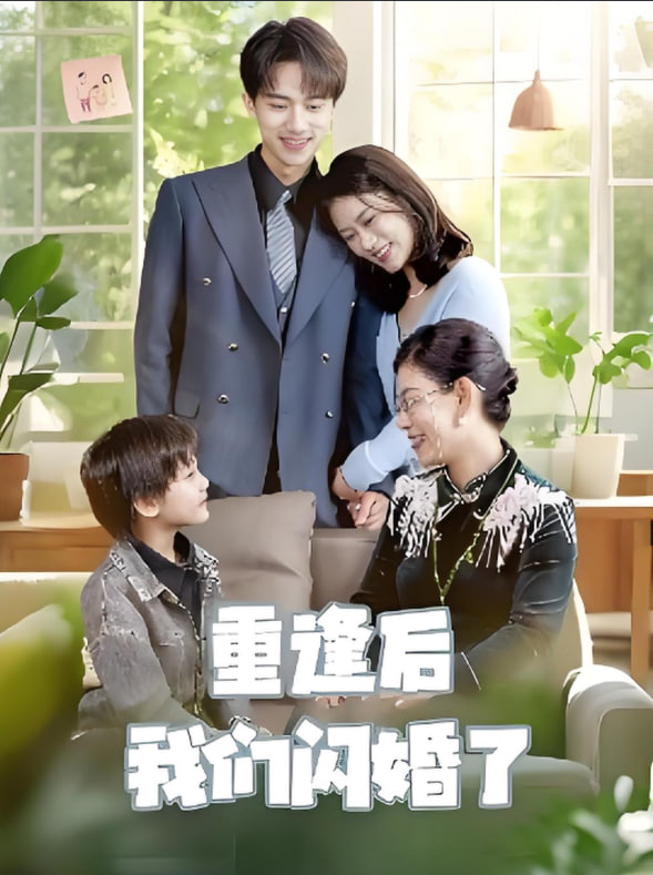 重逢后我们闪婚了封面图