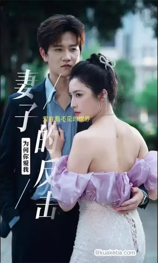 妻子的反击封面图