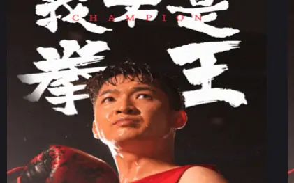 我不是拳王封面图