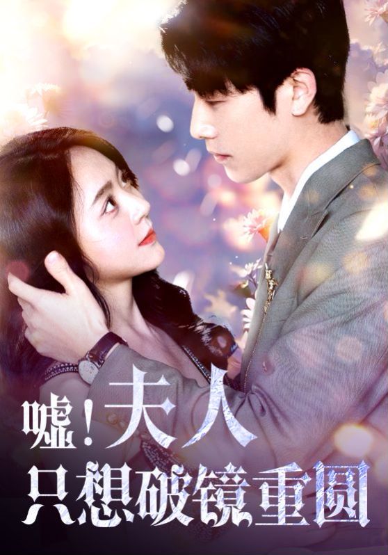 嘘夫人只想破镜重圆封面图