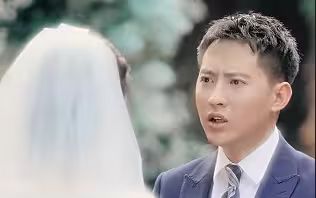 逆袭刘公子归来封面图