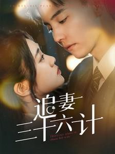 追妻三十六计封面图
