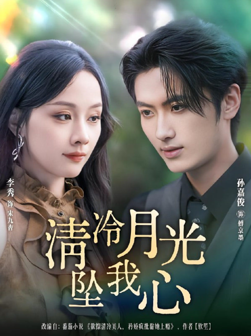 清冷月光坠我心封面图