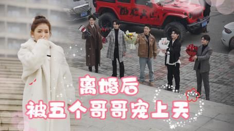离婚后被五个哥哥宠上天封面图