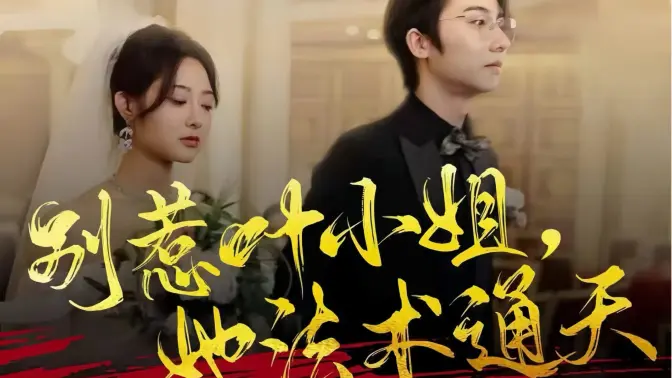 别惹叶小姐，她法术通天封面图