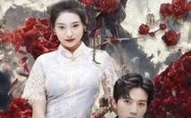 今夕长相夕封面图