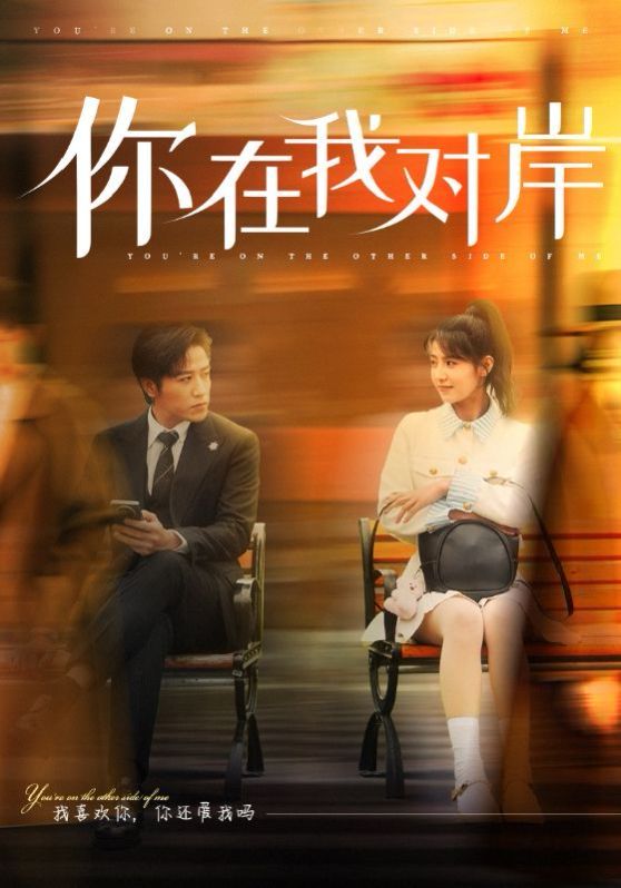 你在我对岸封面图