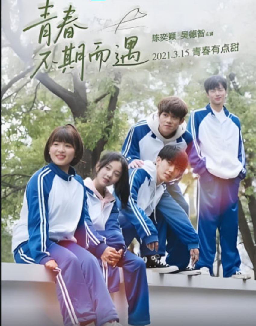 青春不期而遇封面图