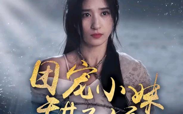 团宠小妹甜又娇封面图