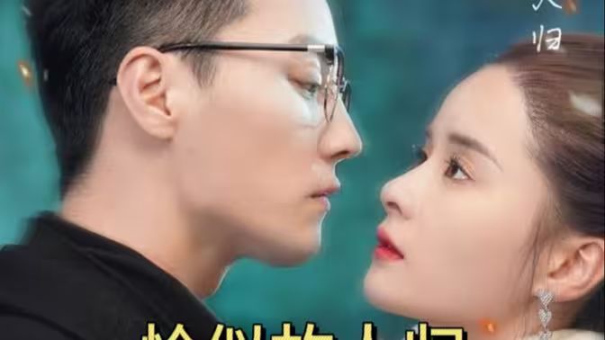 恰似故人归封面图