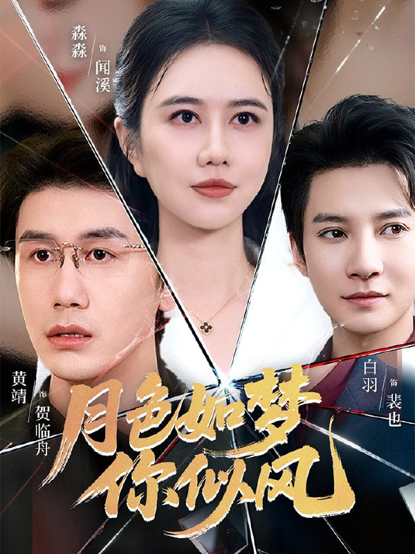 月色如梦你似风封面图